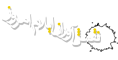 نقش آوران ایلام امروز